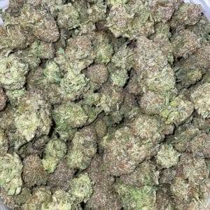 blue dream purple kush