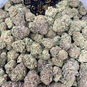 purple mimosa strain